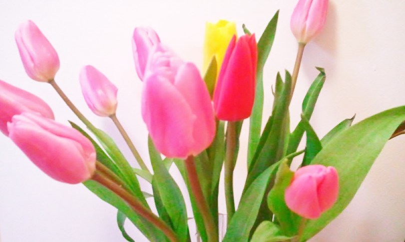 415475_325951734109474_256191988_o