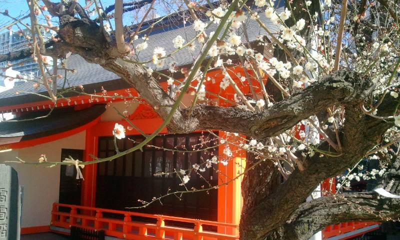 10930089_789878694383440_6513427920419336711_n