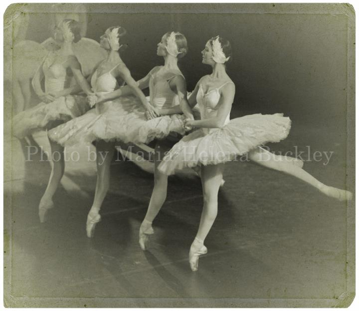 321375_245636655476472_102780733095399_706146_2518793_n