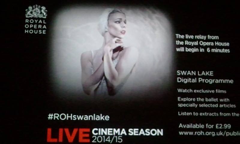 10952468_807823949255581_1435674033969860367_n (1)