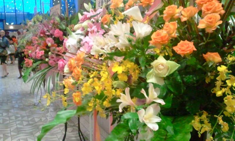 11057458_801298356574807_6121835830673373569_n