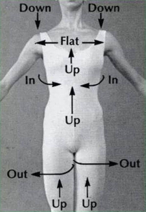 15484_10152910998297049_4275803561958046048_n