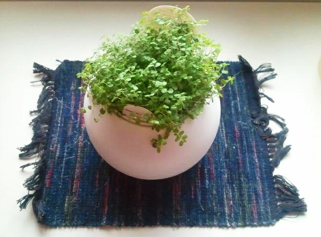 2015-04-06 09.03.06-1