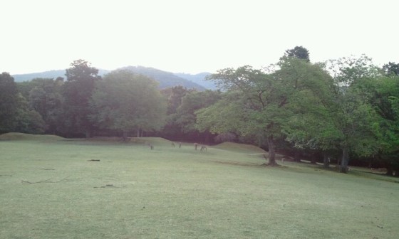 11175026_833207786717197_5390875887217653066_n