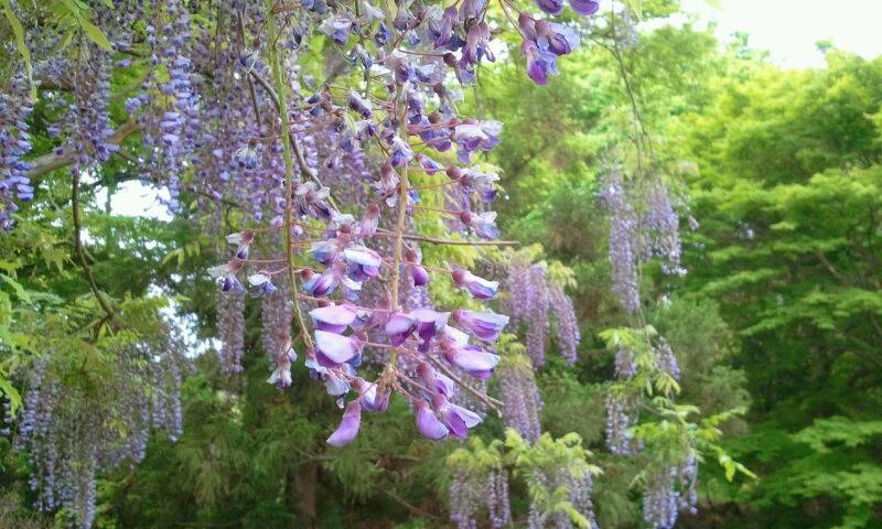 19727_833207820050527_6974501460208805329_n