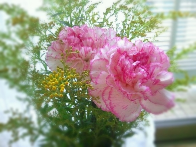 9a0f87574bdb6ac1fbc811a63ede68b2