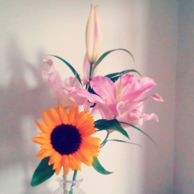 18902_847439821960660_3145364955092660028_n