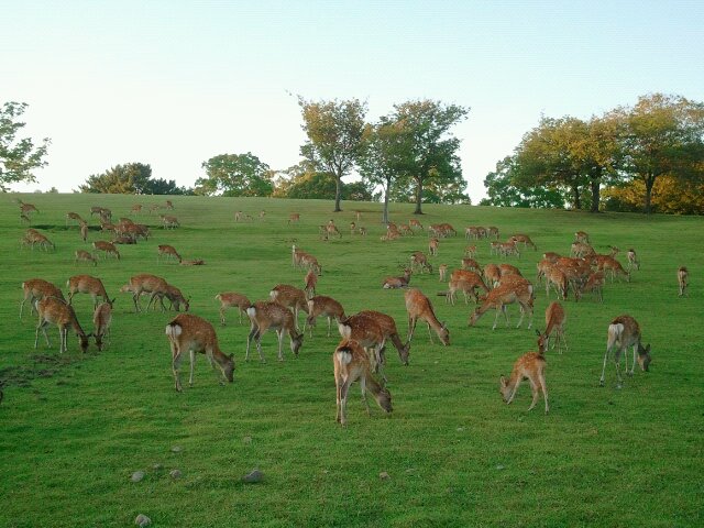 297321_417467858291194_753371076_n