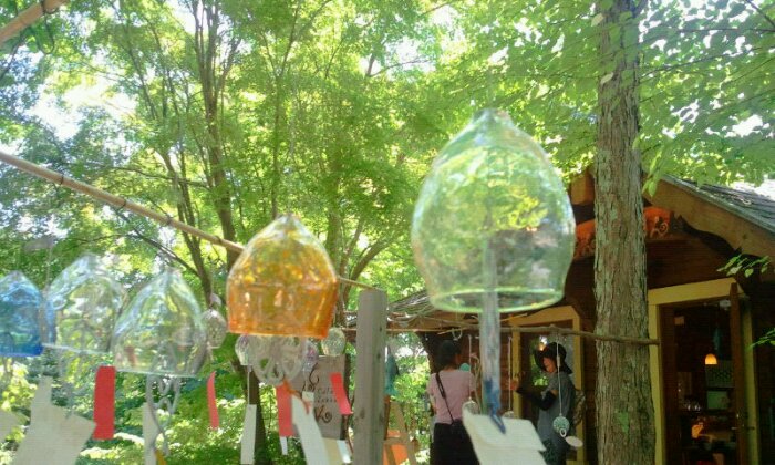 2015-08-05 12.33.01.jpg image