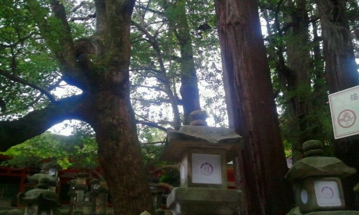 2015-08-16 06.48.34.jpg image