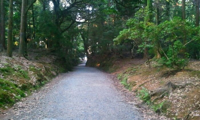 2015-08-16 06.54.49.jpg image