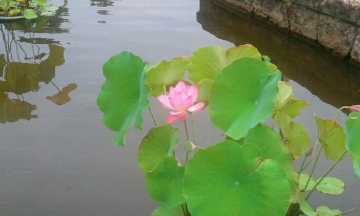 wpid-2015-08-16-10-21-08