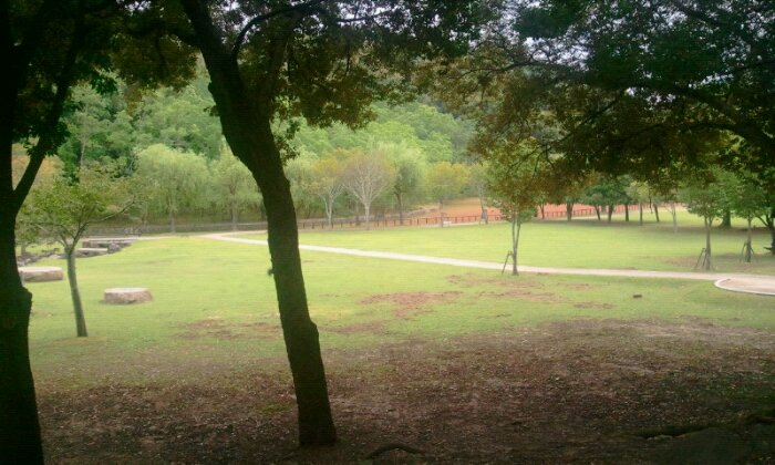 2015-08-16 15.50.09.jpg image