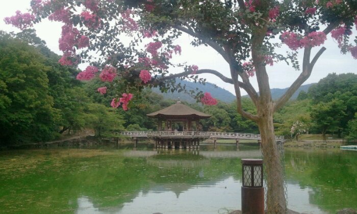 2015-08-16 15.51.36.jpg image