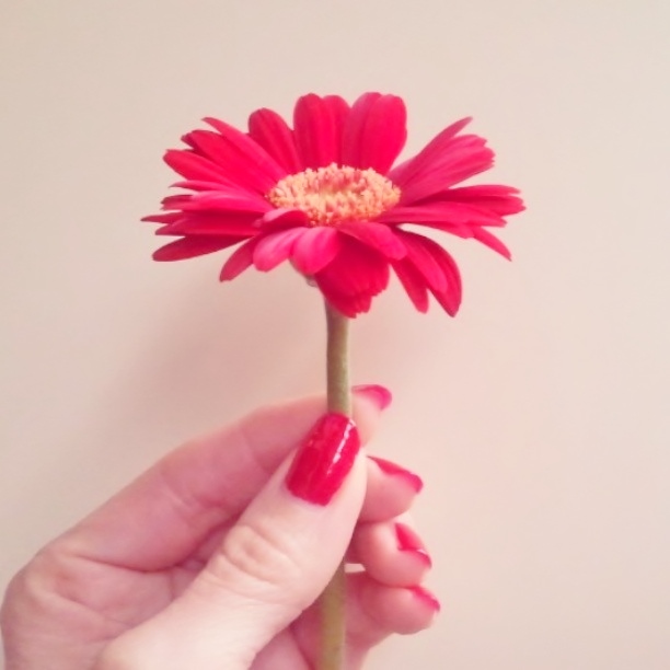 10310607_662923207078990_7145872401151122705_n