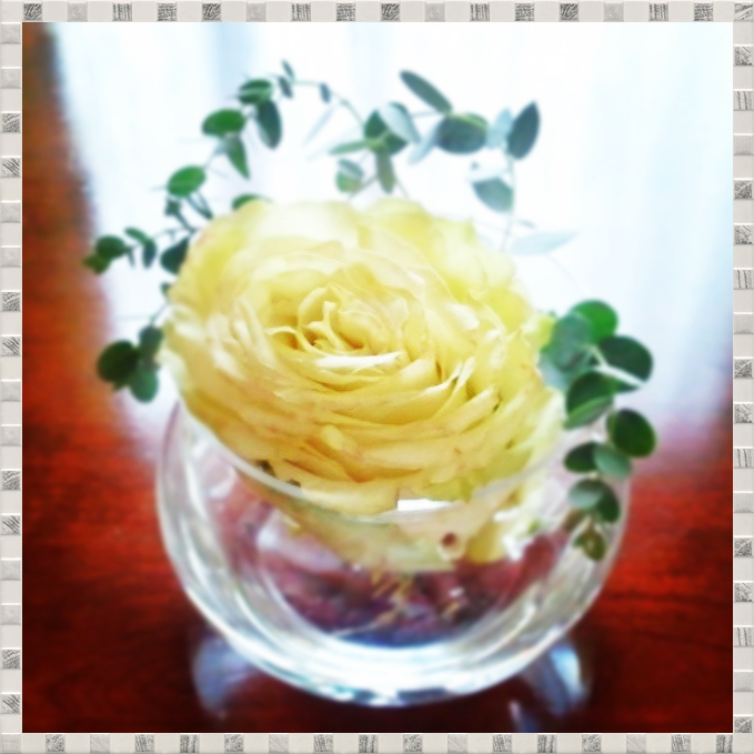 12002181_892087940829181_1206861947816291334_n