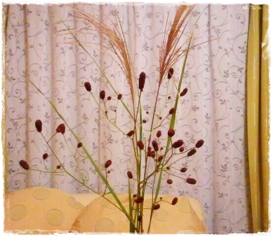 12038219_893211264050182_5376695482723203464_n