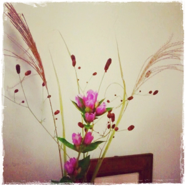 12043091_893546967349945_5430121291233688432_n