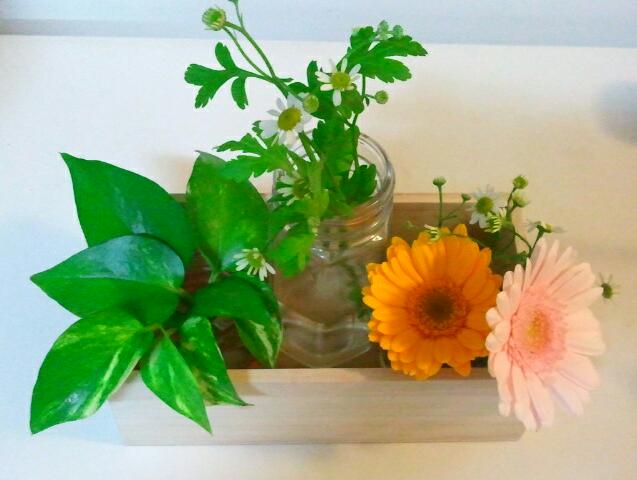 2015-01-09 21.13.57-1