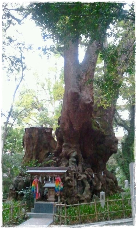 12193327_909798815724760_1310181568059719373_n