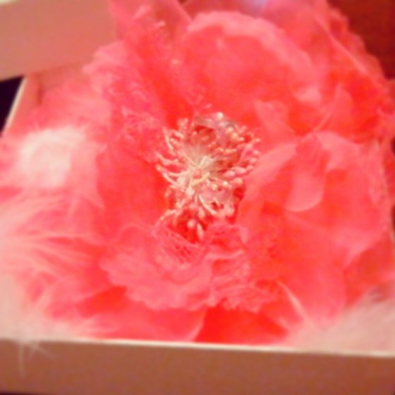 12345600_920731607964814_3330712450148483975_n