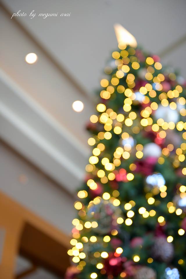 12348326_10204038853650360_1123778603_n