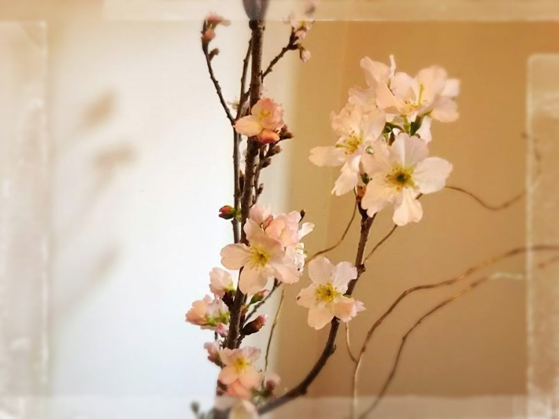 12523129_937699702934671_6131823409708745329_n