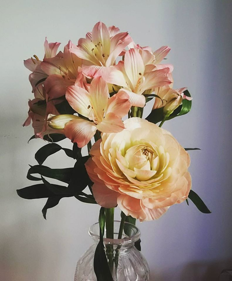 12748050_956503317720976_7175194320775442994_o