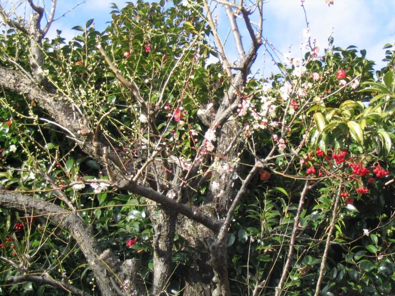 274647b5-c97a-46bb-bdb3-f2dd2f674cb6