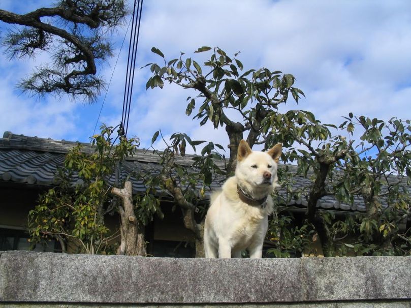 f6f6fe5e-f346-45fb-8741-c24570c3f0a1