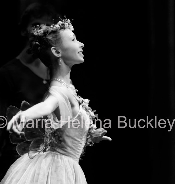 46563_145056072201198_102780733095399_220863_5400728_n