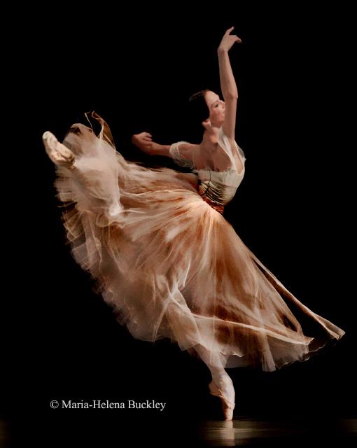 427667_326660150707455_102780733095399_952346_629455090_n