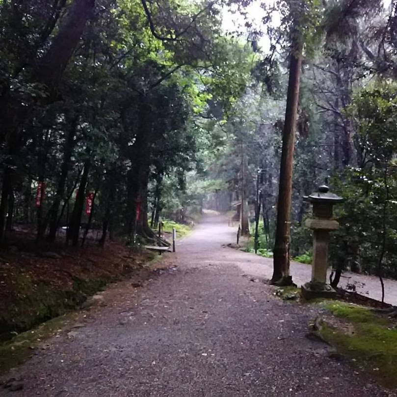 14045687_1062248603813113_5779129179320093597_n (1)