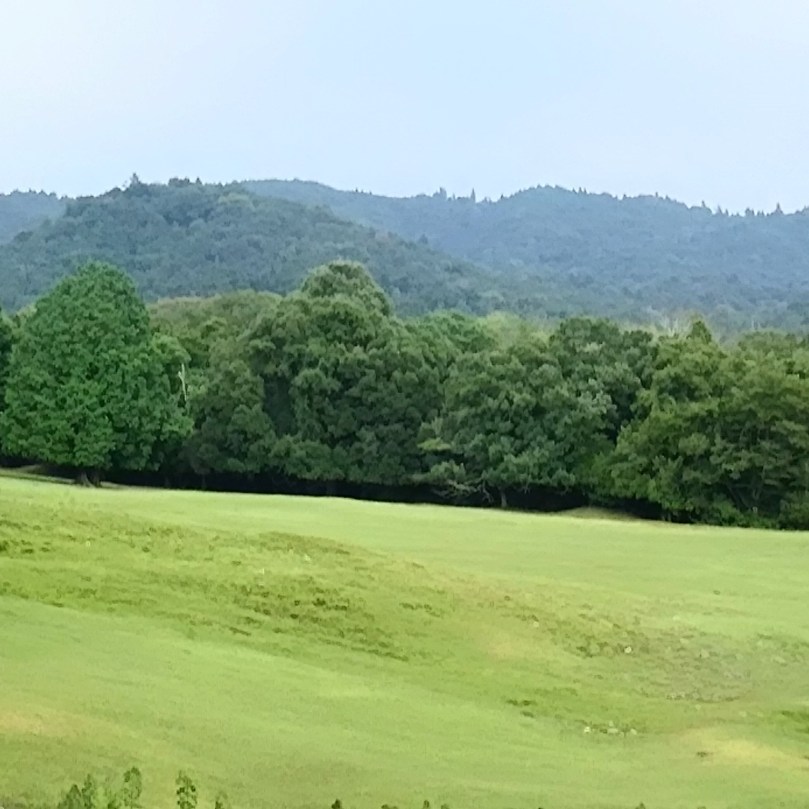 wp-1471250784718 image