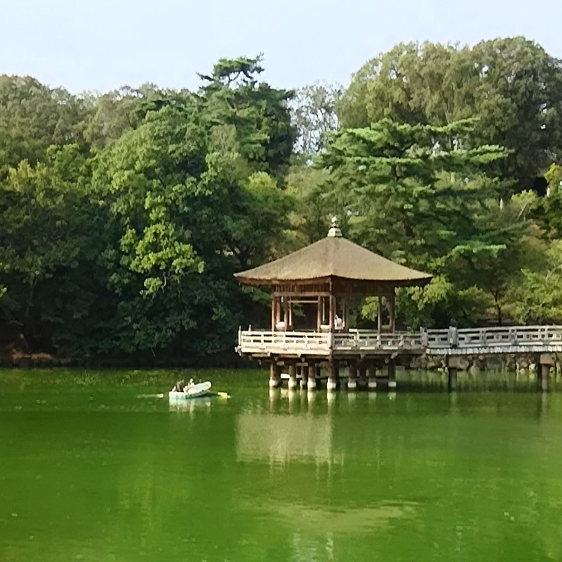 wp-1471250789674 image