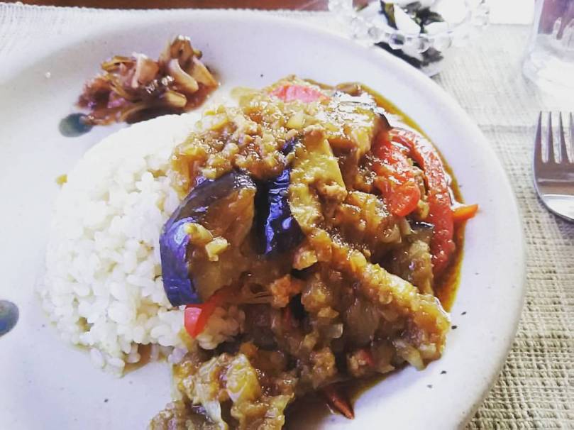 茄子と鶏ひき肉のカレー