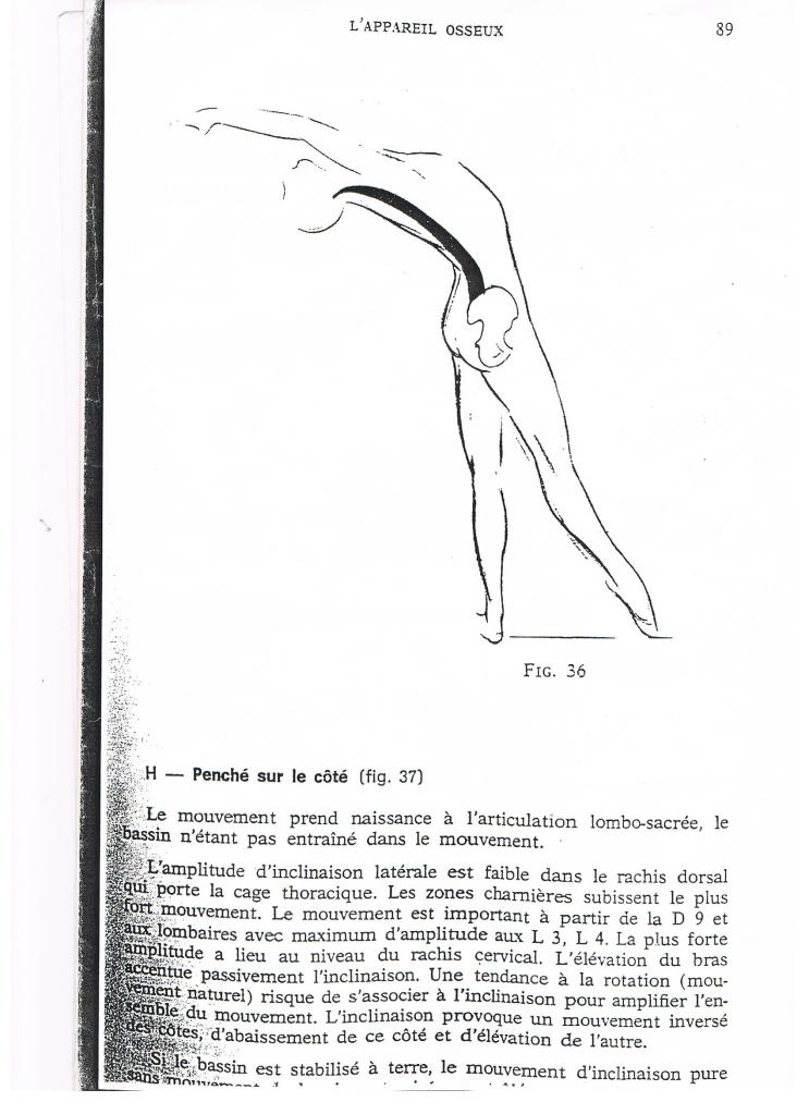 %e8%a7%a3%e5%89%96%e5%ad%a6%e3%82%b9%e3%82%b1%e3%83%83%e3%83%81%ef%bc%92