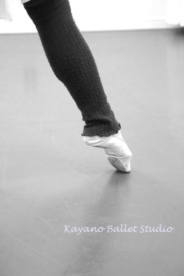 15218224_810043162466488_1348454586_n