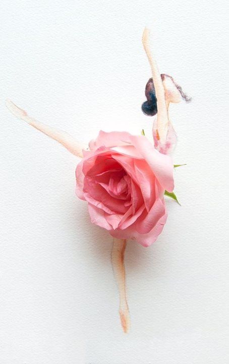 6d254f50eac3e7bee9a0b56df79b6cda