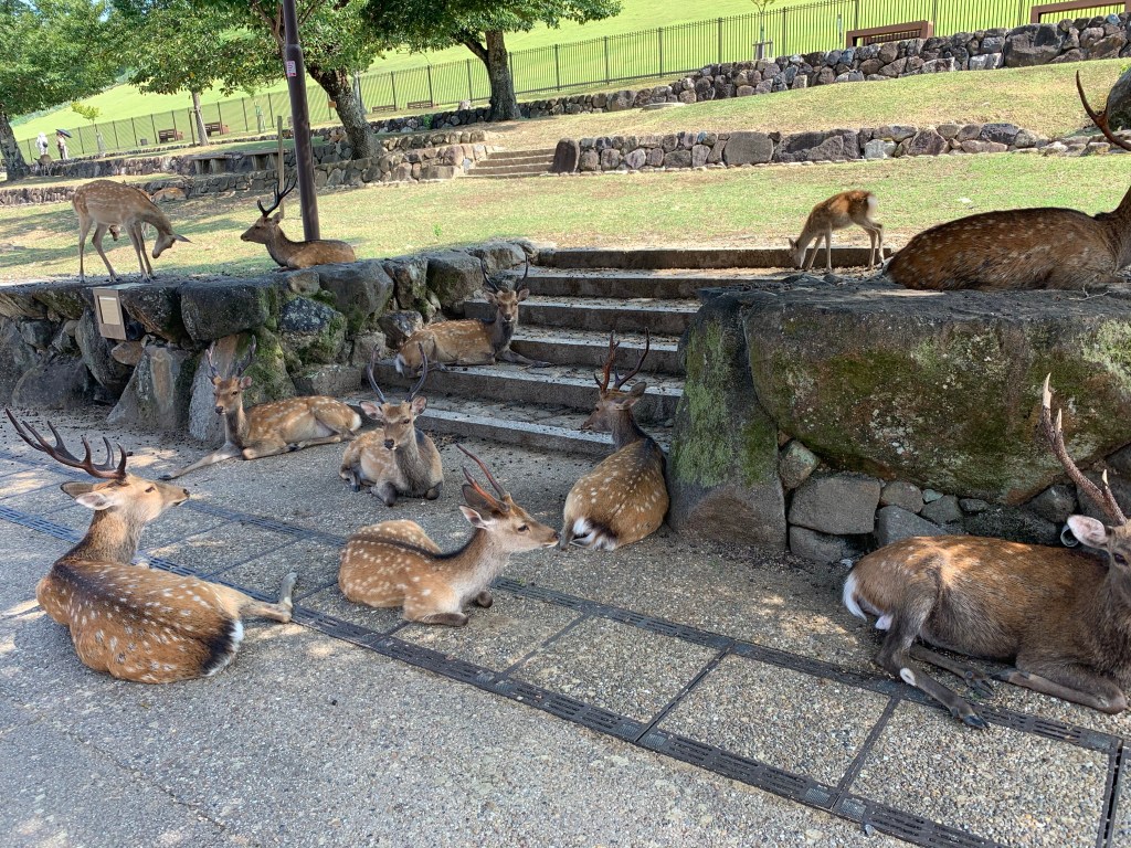 画像に alt 属性が指定されていません。ファイル名: img_3457.jpg